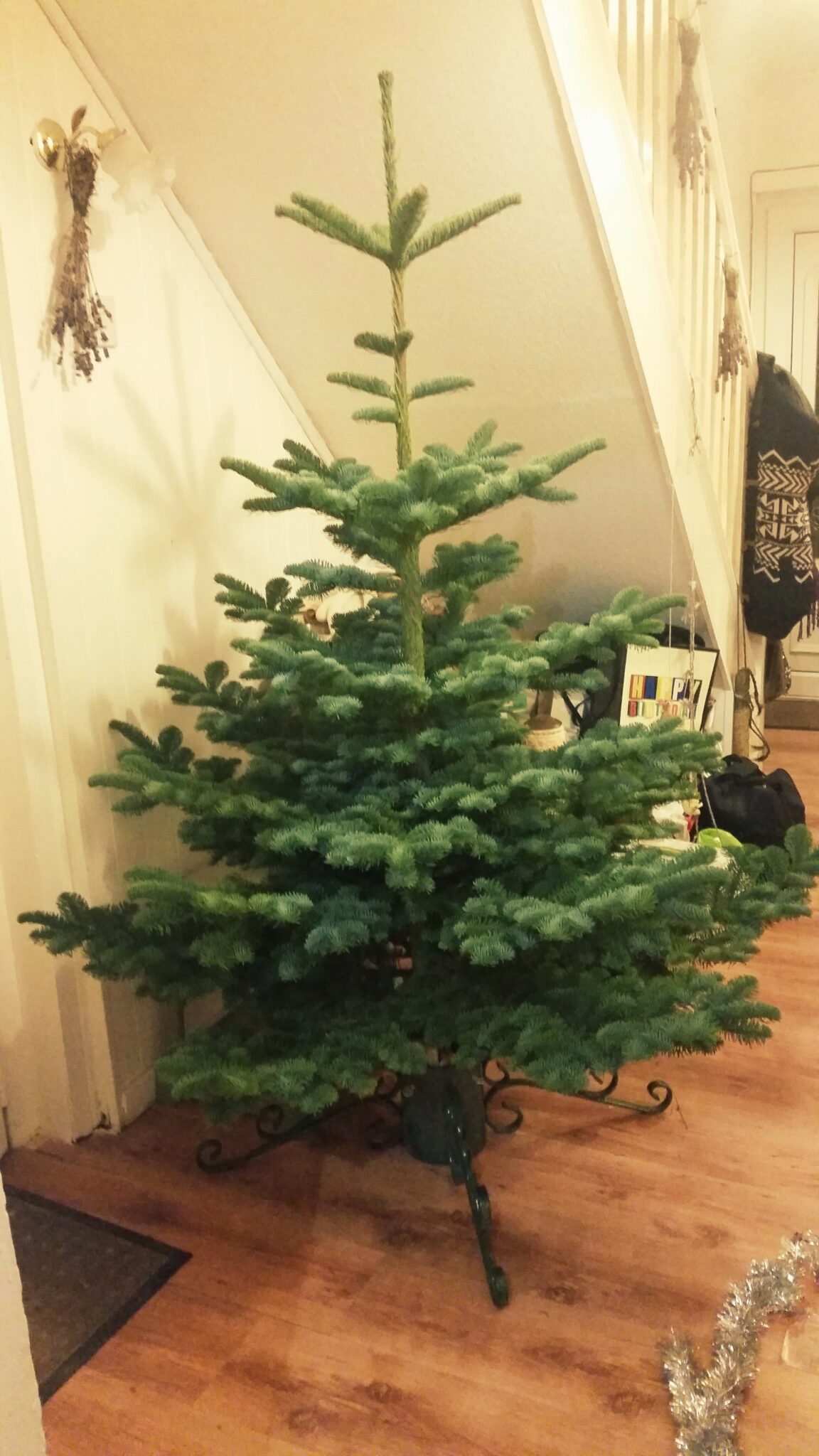 1. Get the tree firmly in a solid stand and in position {this is a 2nd hand cast iron one which again comes out every year}