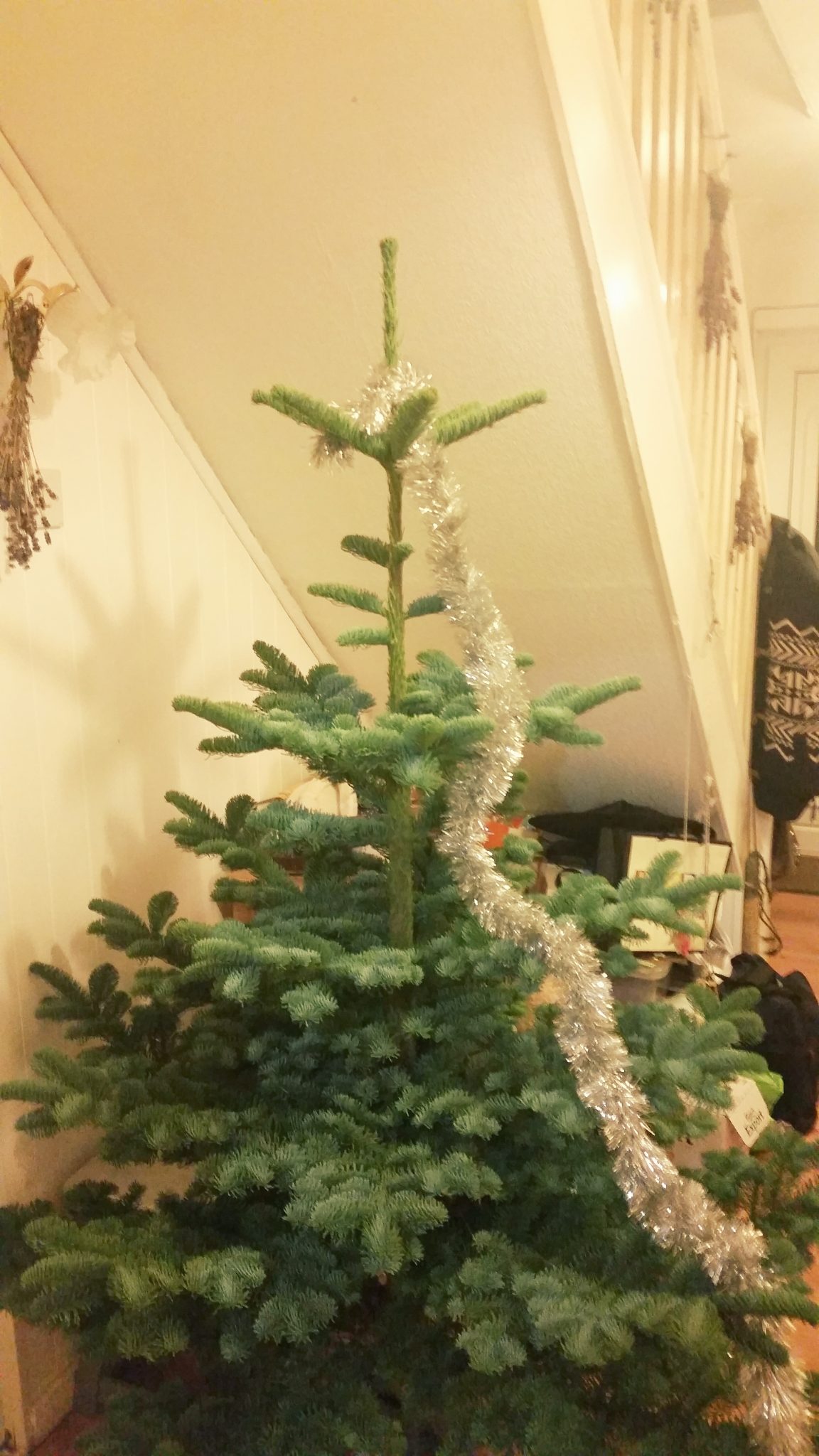 3. Make a loop at the top of your tinsel and start at the top of the tree and then wind round and round until you get to the bottom