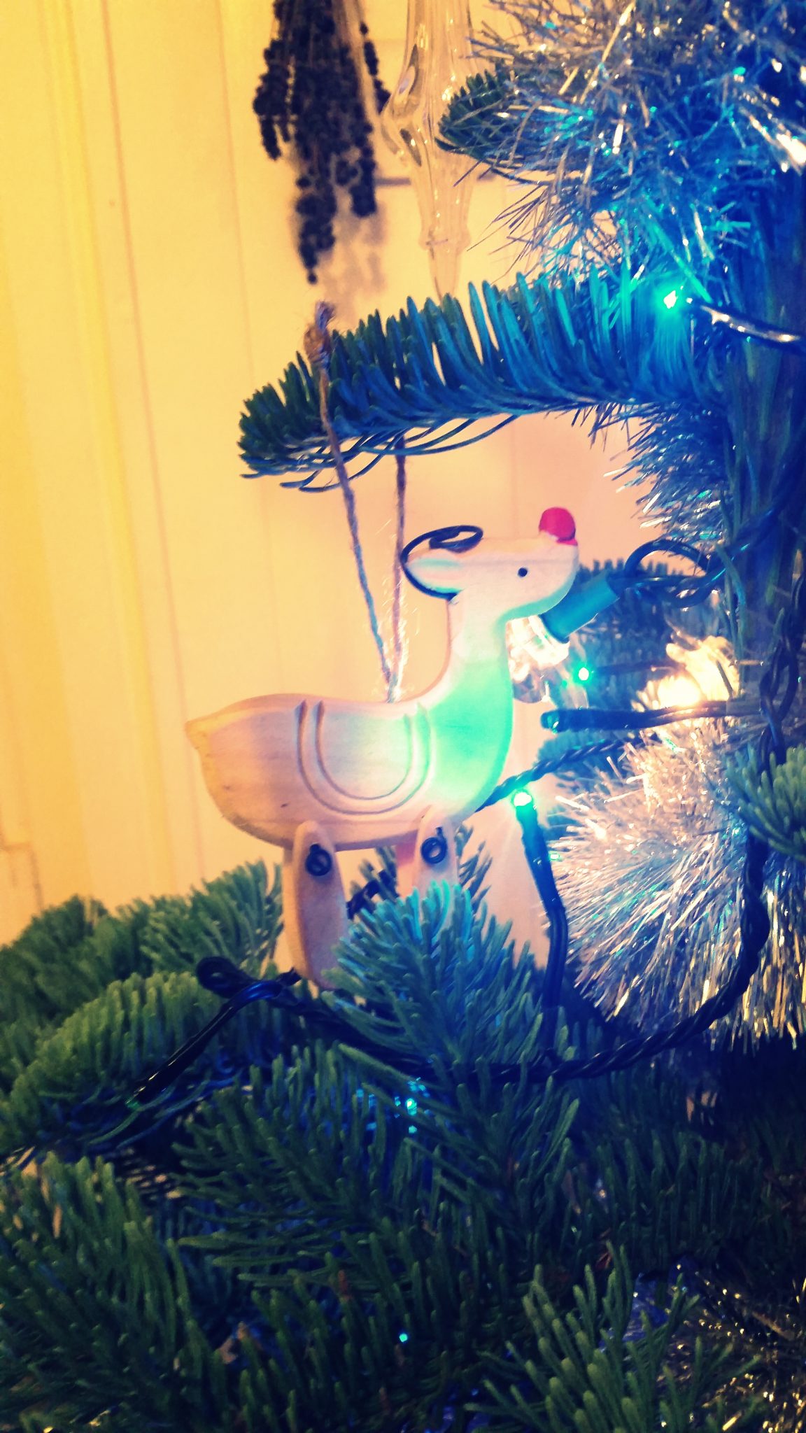 I found this little fella in Tescos and had to have him :)
