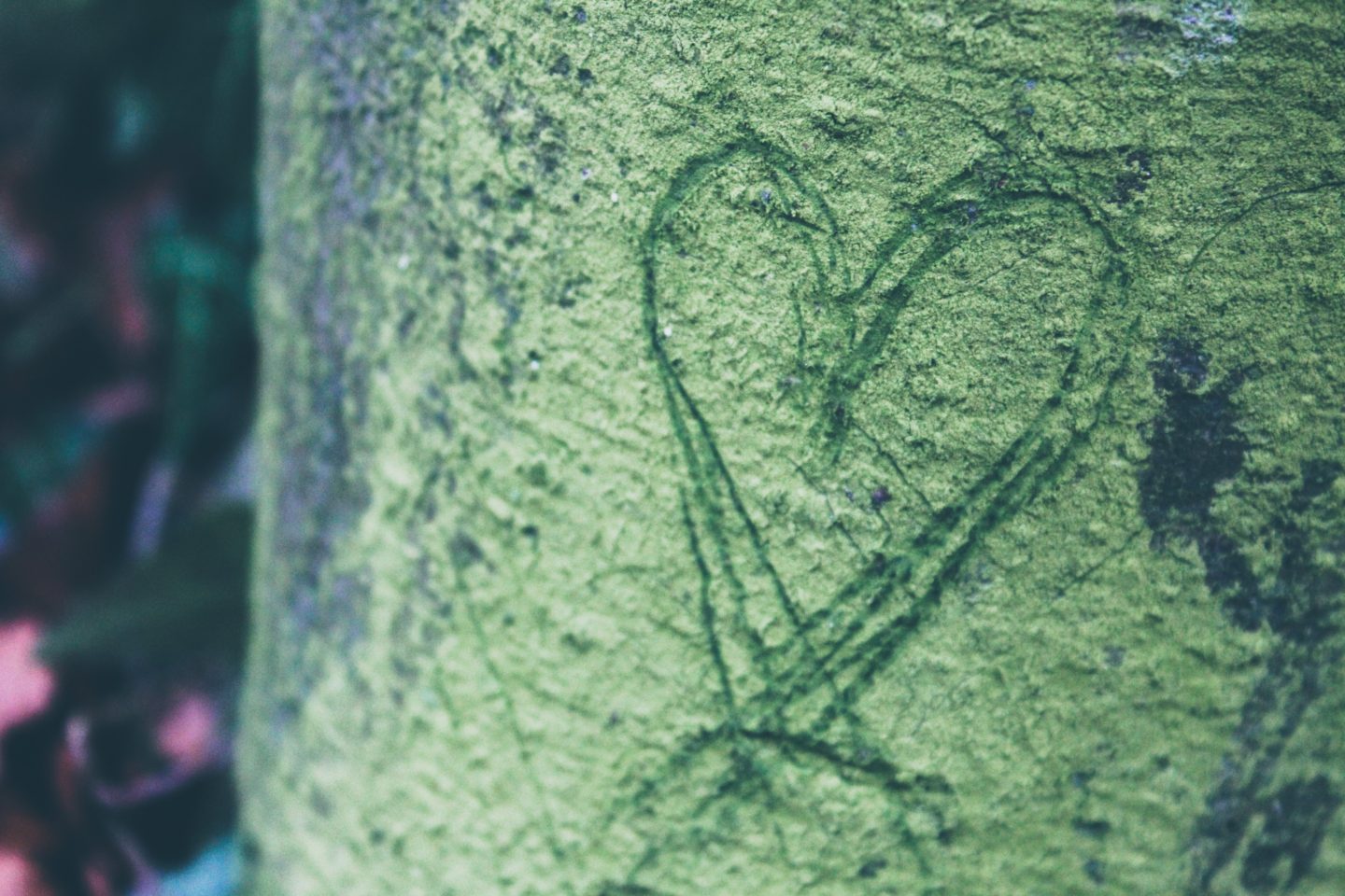 JamJarGill: Why You Should Consider Eco-friendly Wedding Day Ideas