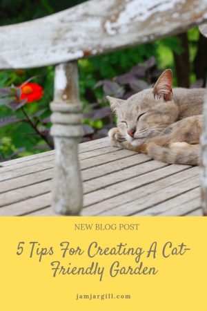JamJarGill: 5 Tips For Creating A Cat-Friendly Garden