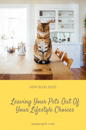 JamJarGill: Leaving Your Pets Out Of Your Lifestyle Choices