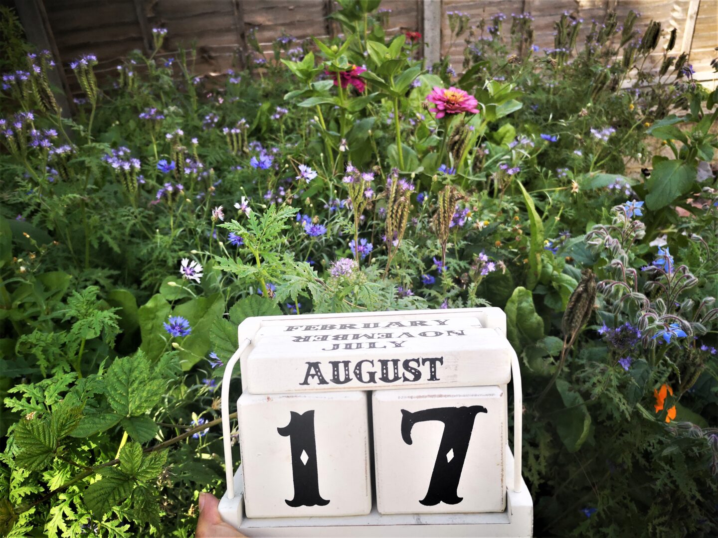 JamJarGill: Meatless Monday {2020 - week 33}