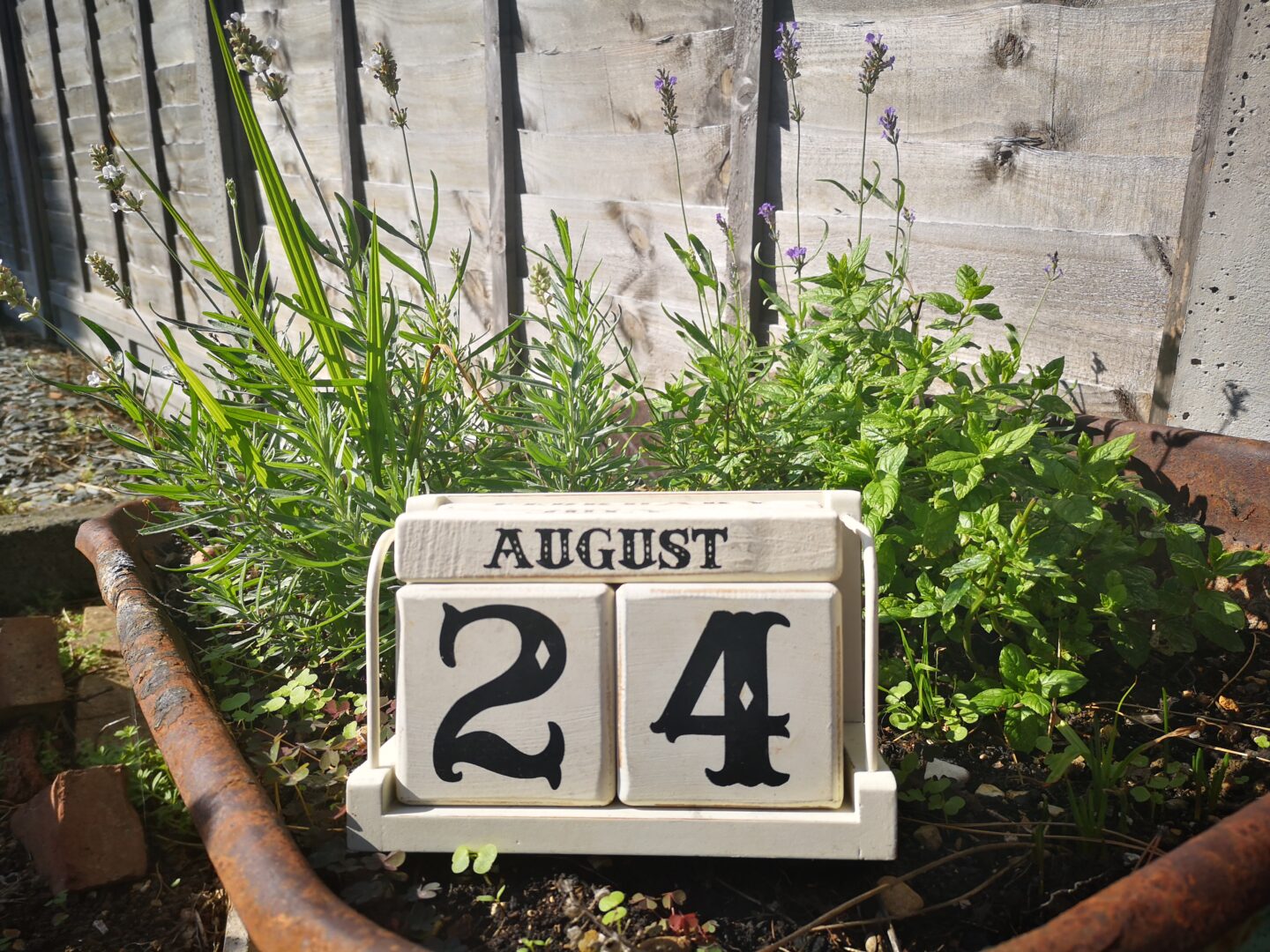 JamJarGill: Meatless Monday {2020 – week 34}