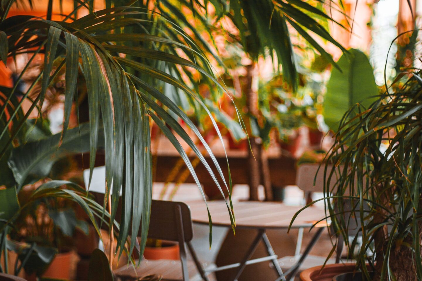 Plant-filled garden room with large indoor plants creating a sustainable home workspace and relaxing retreat.