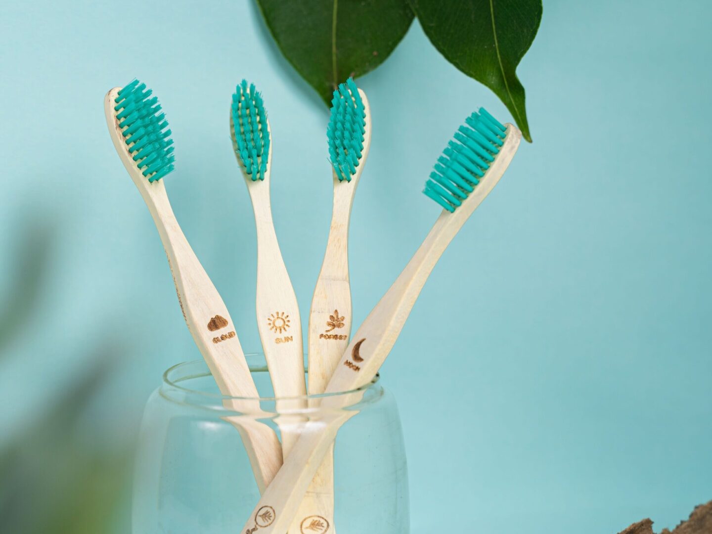 Bamboo toothbrushes in a glass holder promoting daily oral health and healthy dental habits.